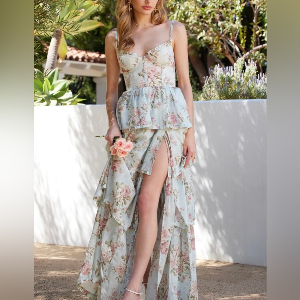 V Chapman Caterina dress in Tapestry rose, size 2